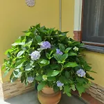 Il Ruscello Maratea