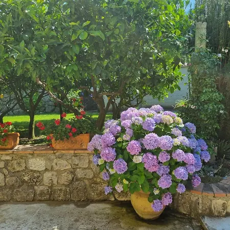 Bed & Breakfast Il Ruscello 3*