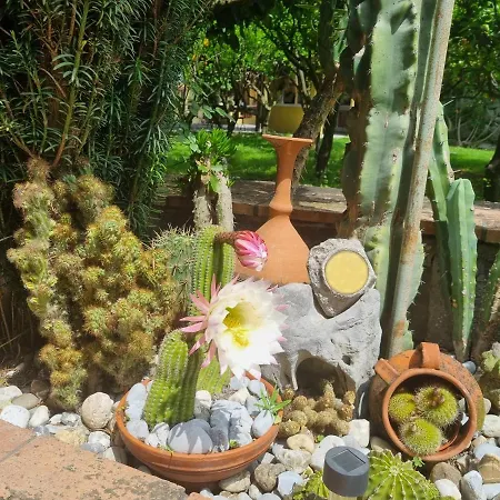 Il Ruscello Bed & Breakfast Maratea