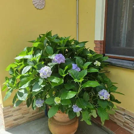 Il Ruscello Maratea