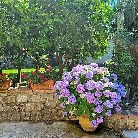Nocleg ze śniadaniem Il Ruscello Maratea