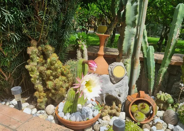 Il Ruscello B&B 마라테아