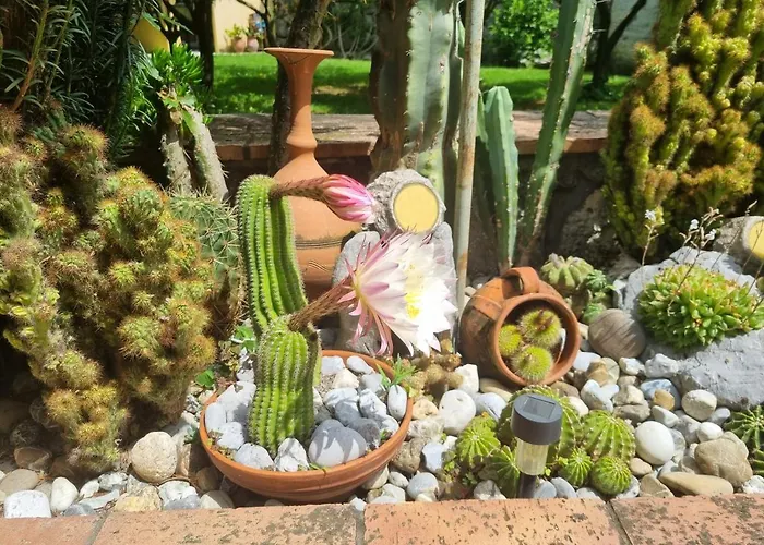 Il Ruscello Bed & Breakfast Maratea